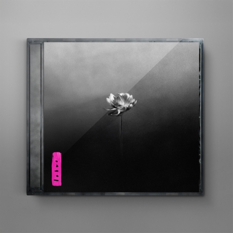 Lotus/Product Detail/Rap