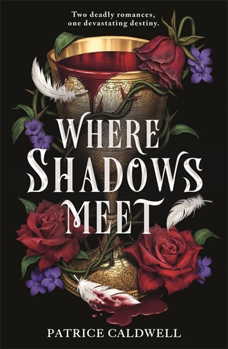 Where Shadows Meet/Product Detail/Young Adult Fiction