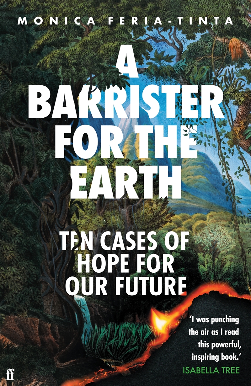 A Barrister for the Earth/Product Detail/Reading