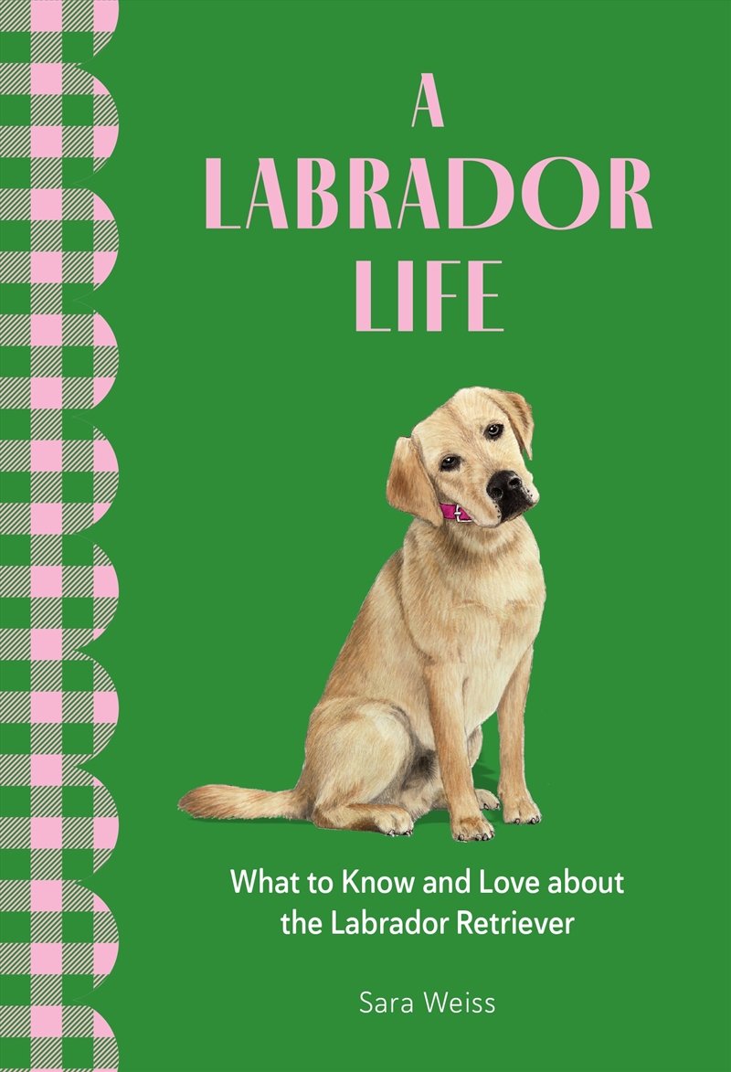 A Labrador Life/Product Detail/Animals & Nature