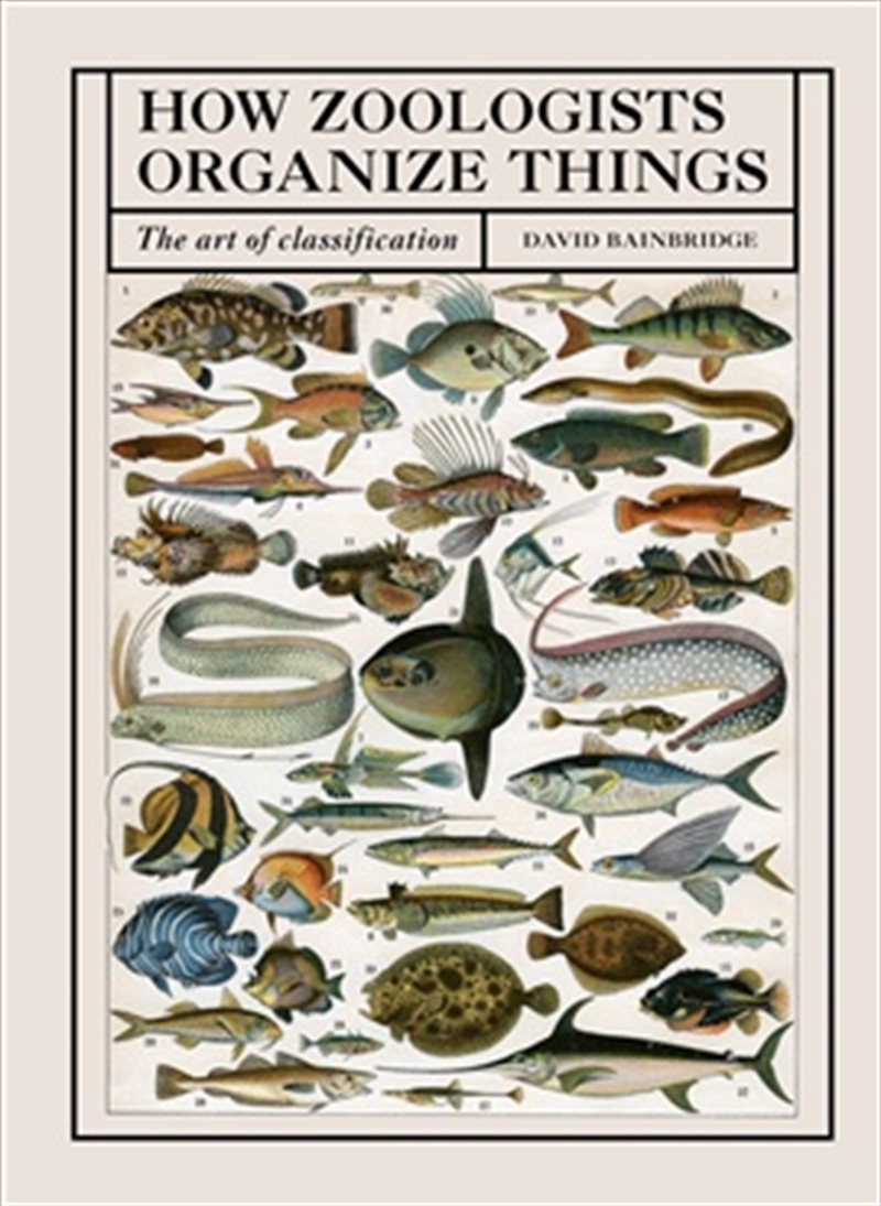 How Zoologists Organize Things/Product Detail/Animals & Nature