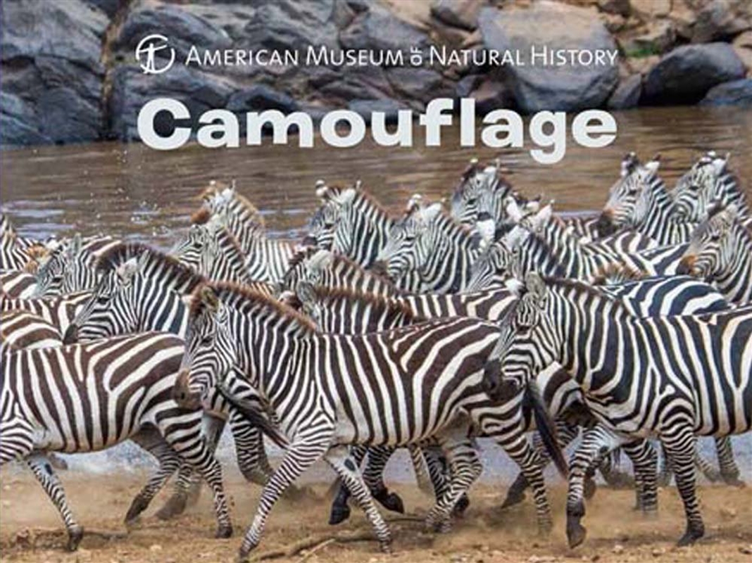 Camouflage/Product Detail/Childrens Fiction Books