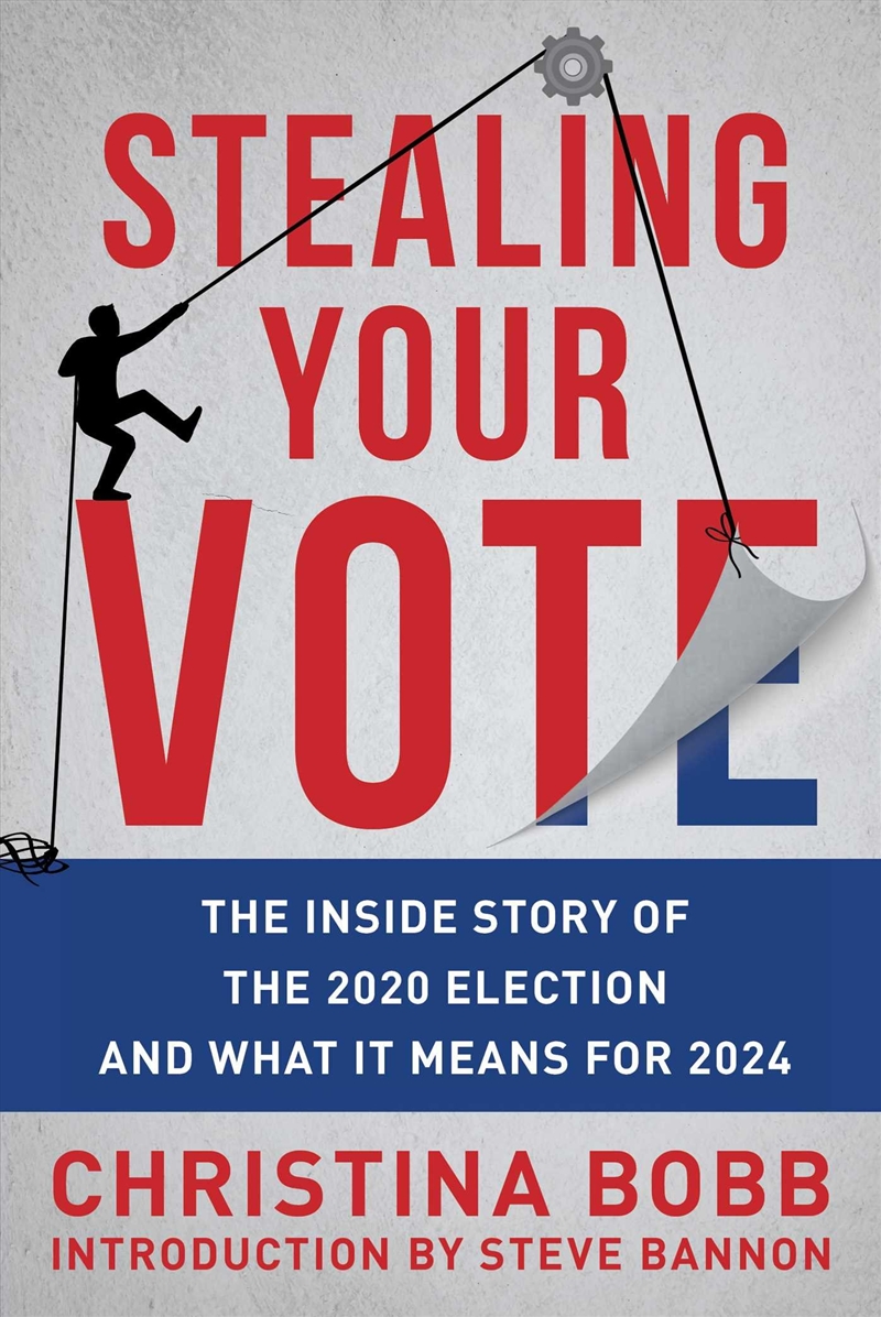 Stealing Your Vote/Product Detail/Politics & Government