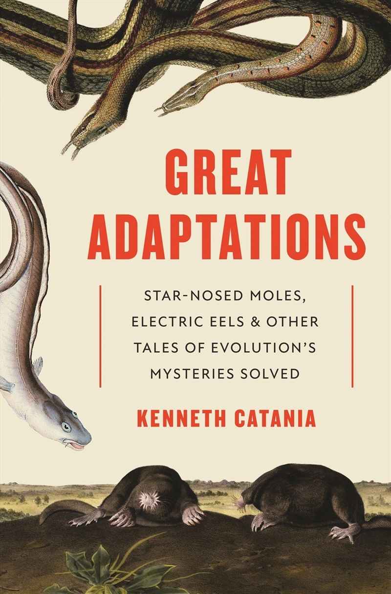 Great Adaptations/Product Detail/Animals & Nature