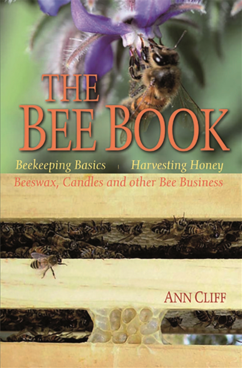 Bee Book/Product Detail/Reading