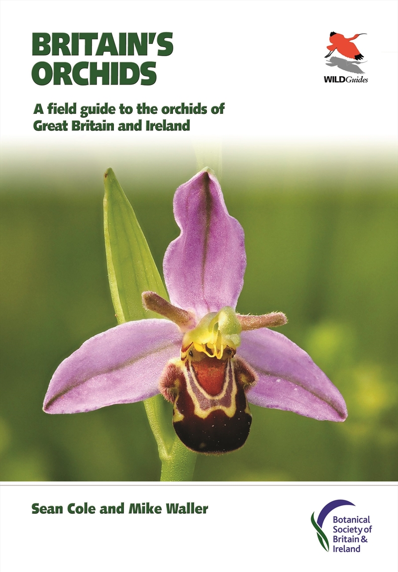Britain'S Orchids/Product Detail/Animals & Nature