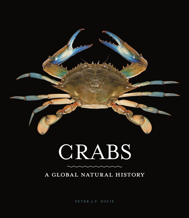 Crabs/Product Detail/Animals & Nature