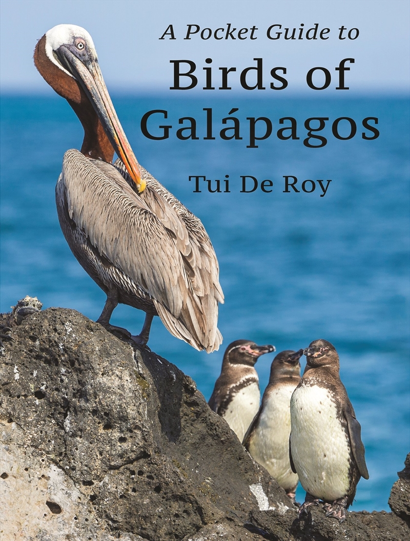 A Pocket Guide To Birds Of Galpagos/Product Detail/Animals & Nature