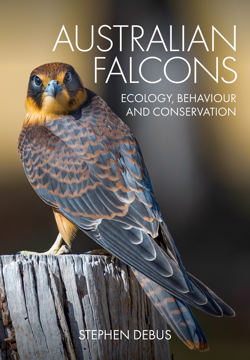 Australian Falcons/Product Detail/Animals & Nature