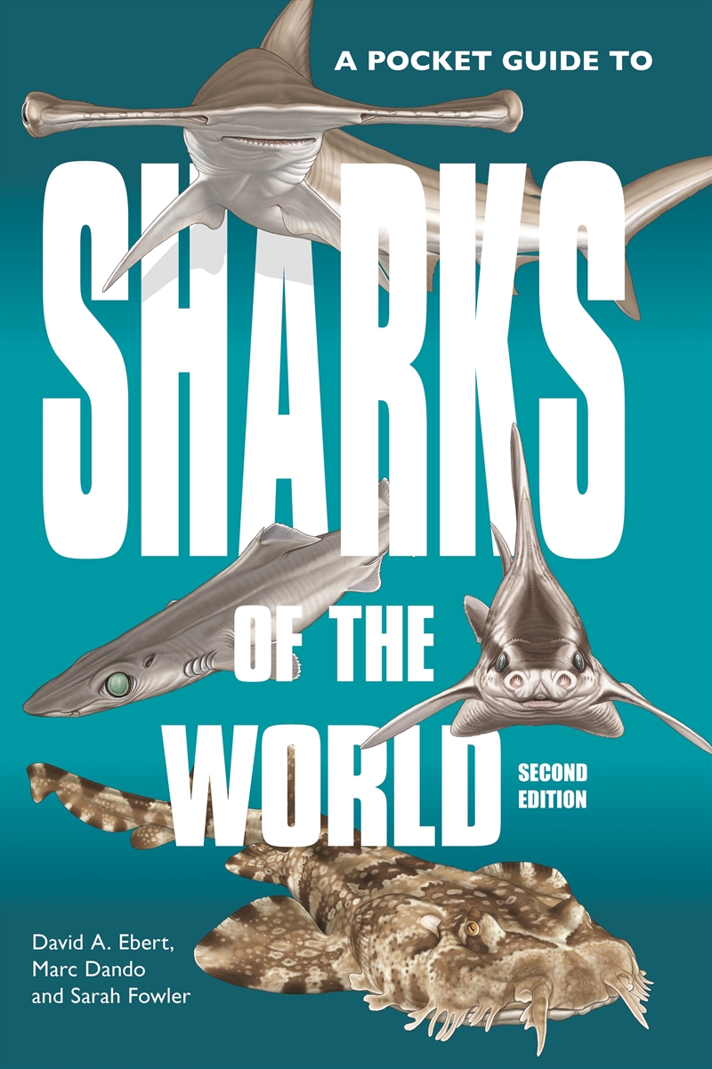 A Pocket Guide to Sharks of the World/Product Detail/Animals & Nature