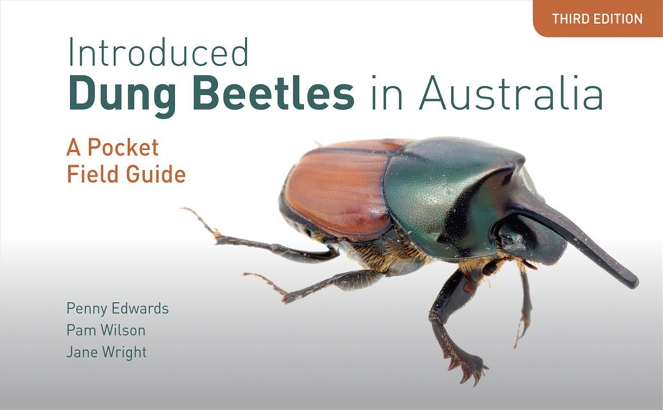 Introduced Dung Beetles in Australia/Product Detail/Animals & Nature