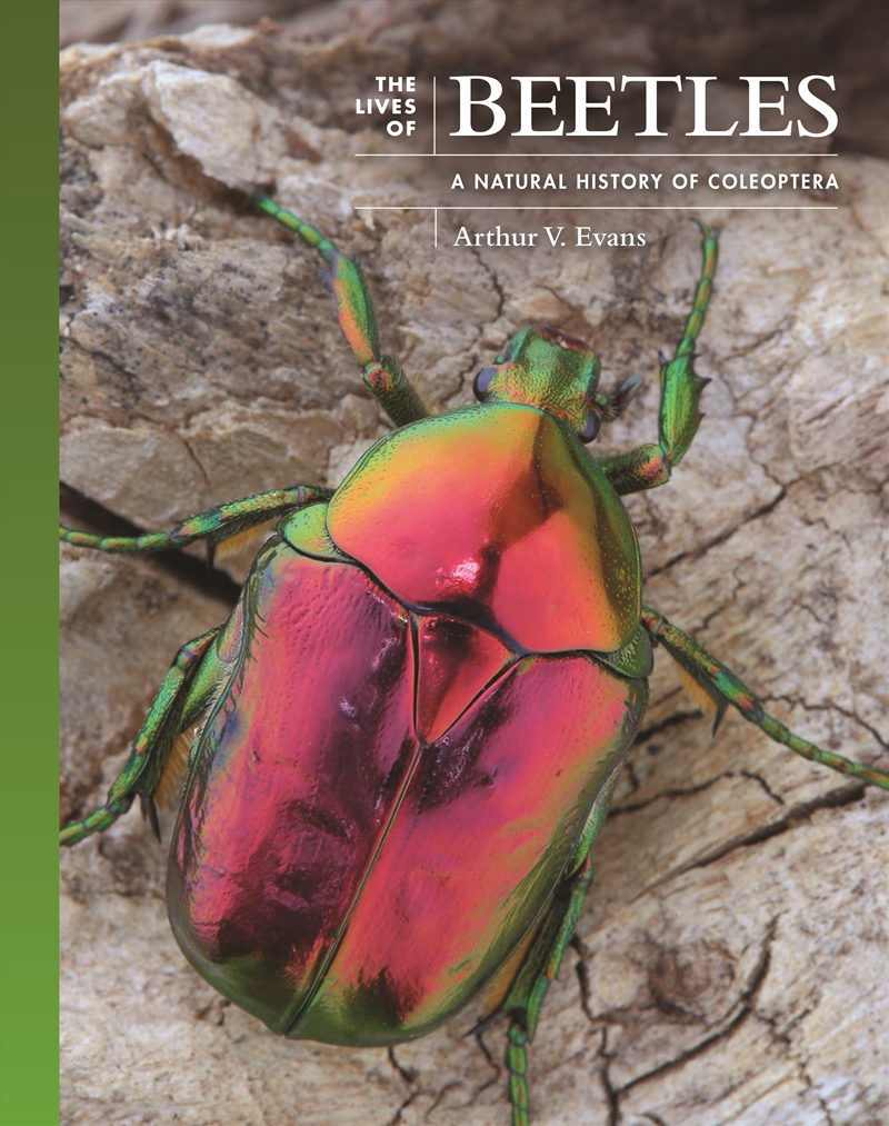 The Lives of Beetles/Product Detail/Animals & Nature