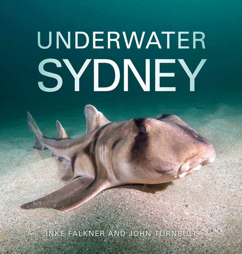 Underwater Sydney/Product Detail/Animals & Nature
