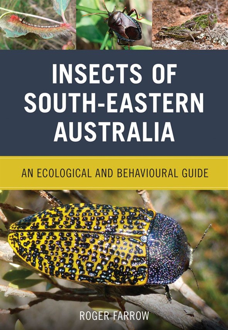 Insects of South-Eastern Australia/Product Detail/Animals & Nature