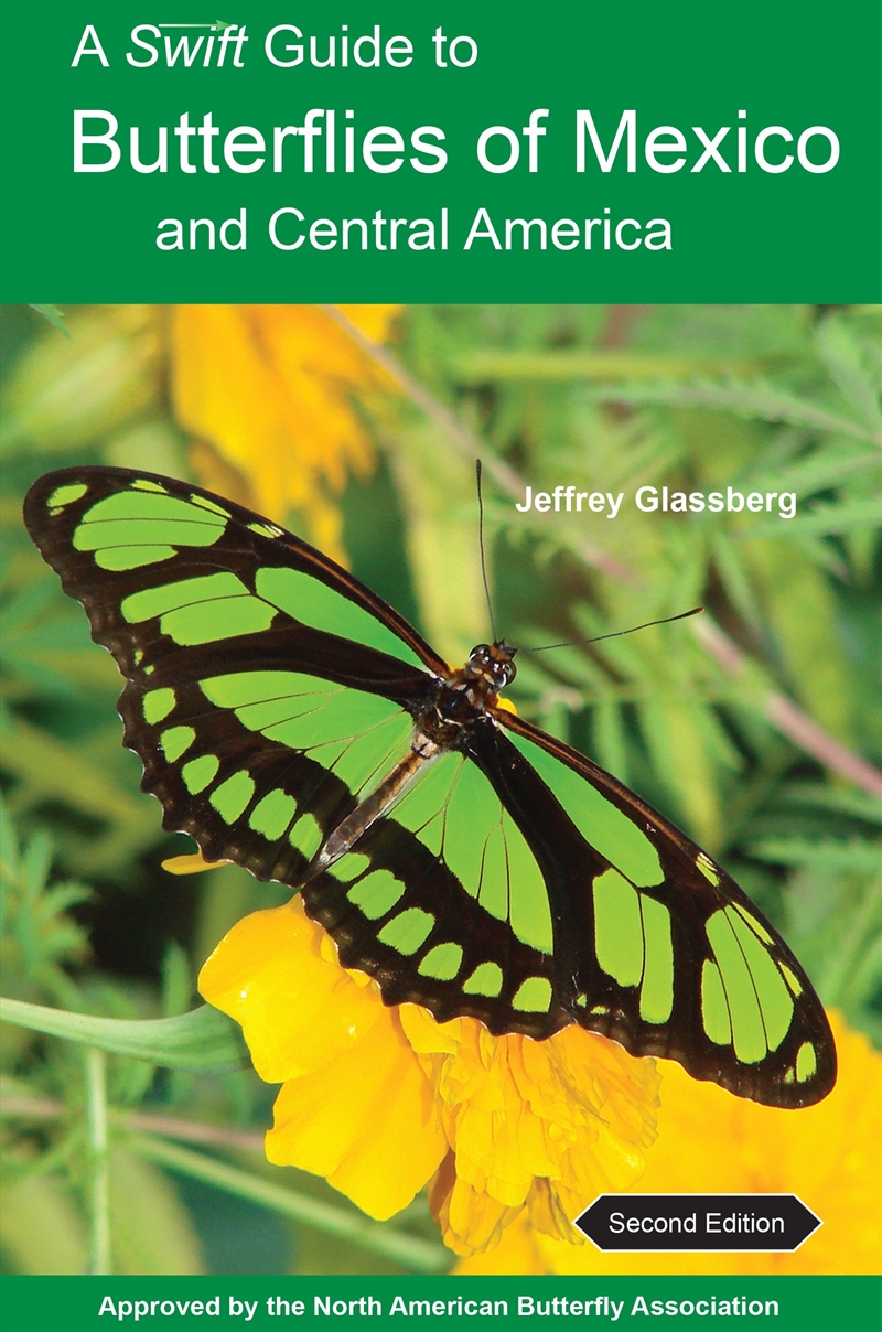 A Swift Guide to Butterflies of Mexico and Central America/Product Detail/Animals & Nature
