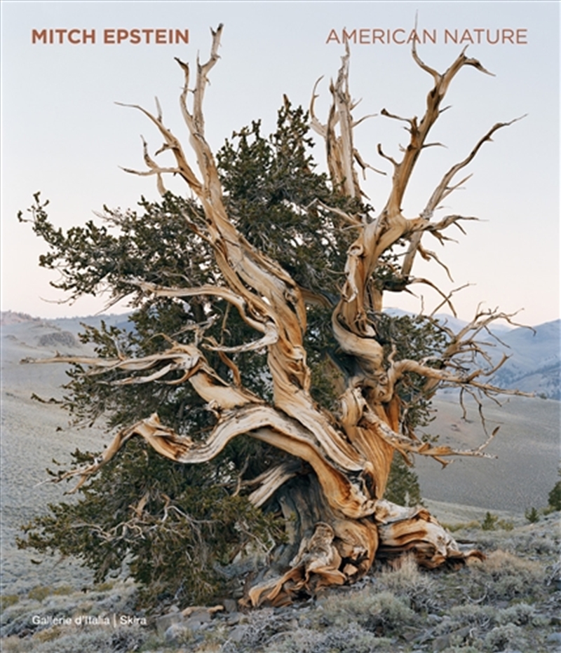 Mitch Epstein/Product Detail/Photography