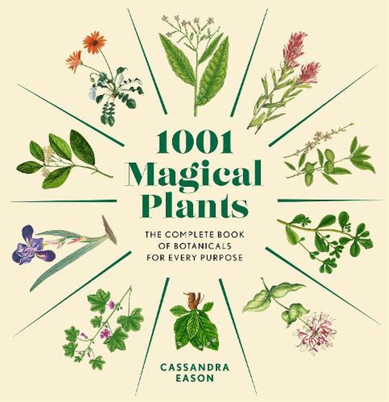 1001 Magical Plants/Product Detail/Religion & Beliefs