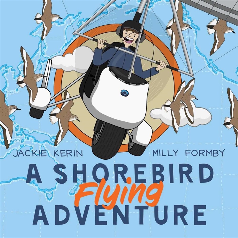 A Shorebird Flying Adventure/Product Detail/Early Childhood Fiction Books