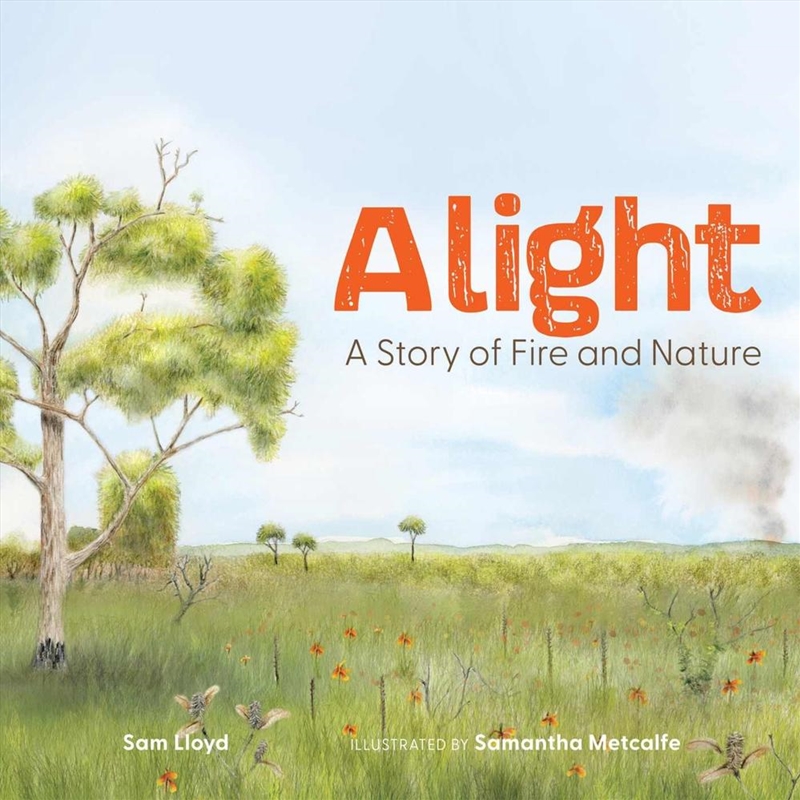Alight/Product Detail/Early Childhood Fiction Books