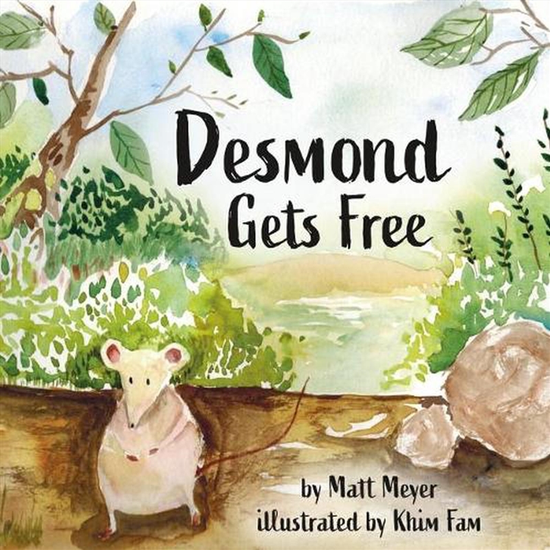 Desmond Gets Free/Product Detail/Childrens Fiction Books
