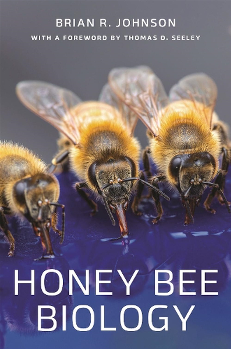 Honey Bee Biology/Product Detail/Animals & Nature