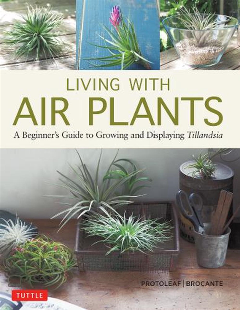 Living with Air Plants/Product Detail/Gardening
