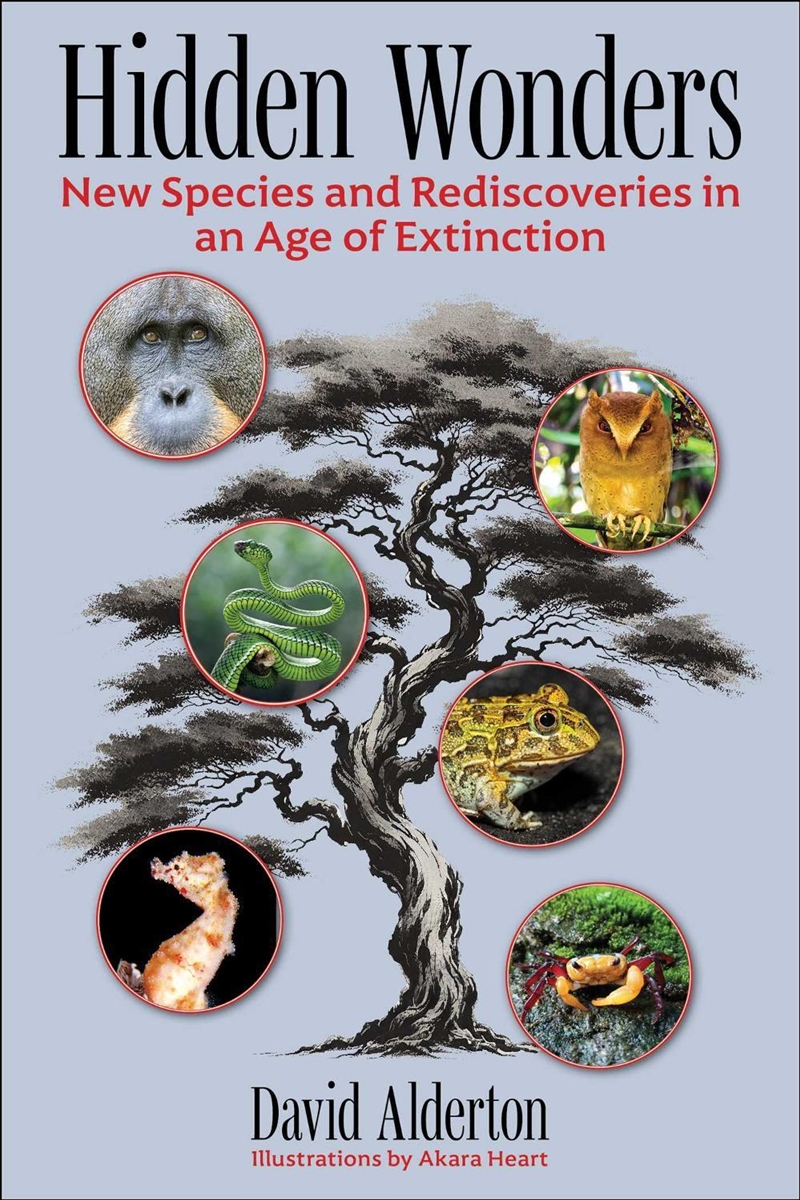 New Animals of the 21st Century/Product Detail/Animals & Nature