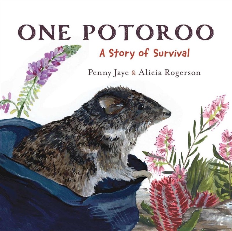 One Potoroo/Product Detail/Animals & Nature