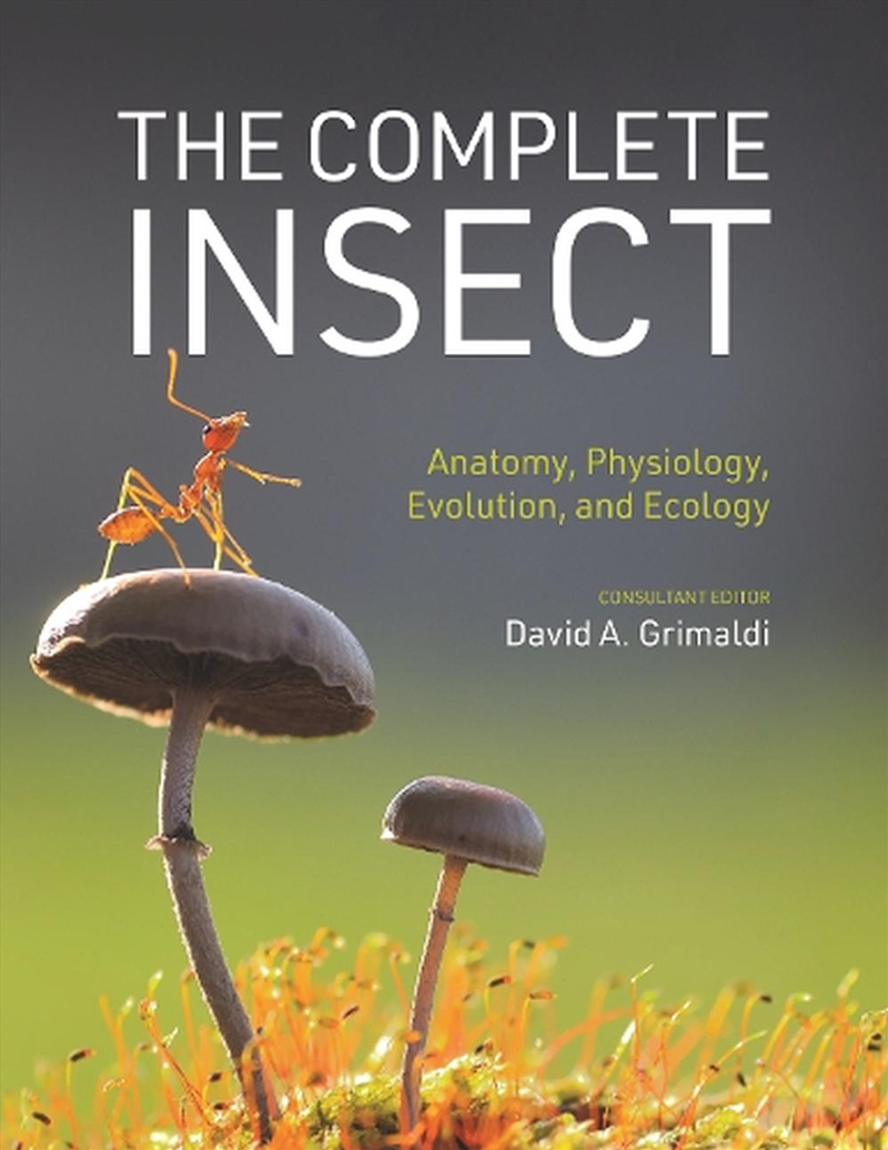 The Complete Insect/Product Detail/Animals & Nature