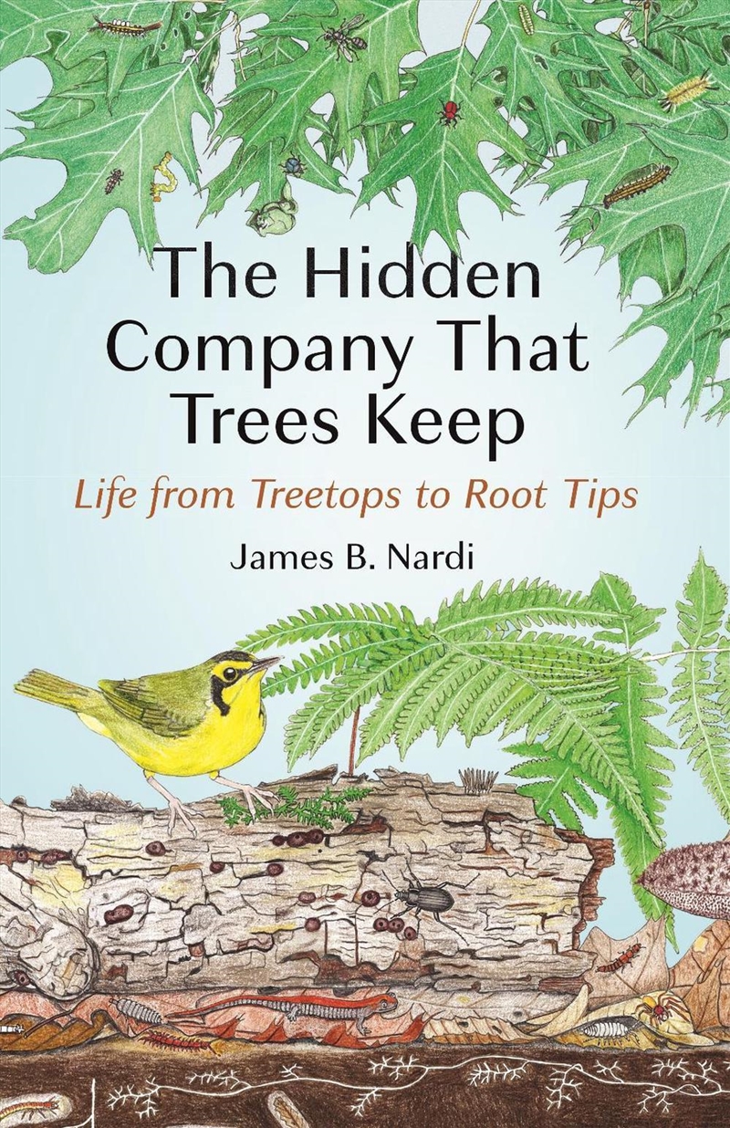 The Hidden Company That Trees Keep/Product Detail/Geography
