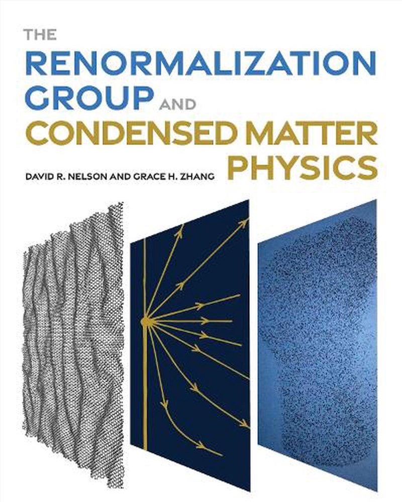 The Renormalization Group And Condensed Matter Physics/Product Detail/Science