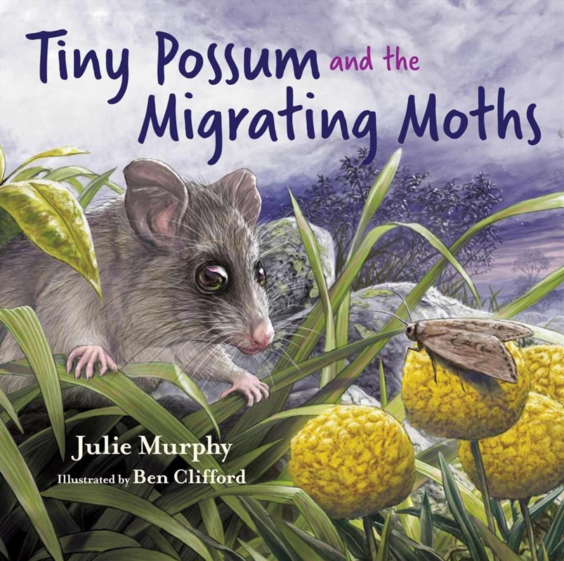 Tiny Possum and the Migrating Moths/Product Detail/Childrens