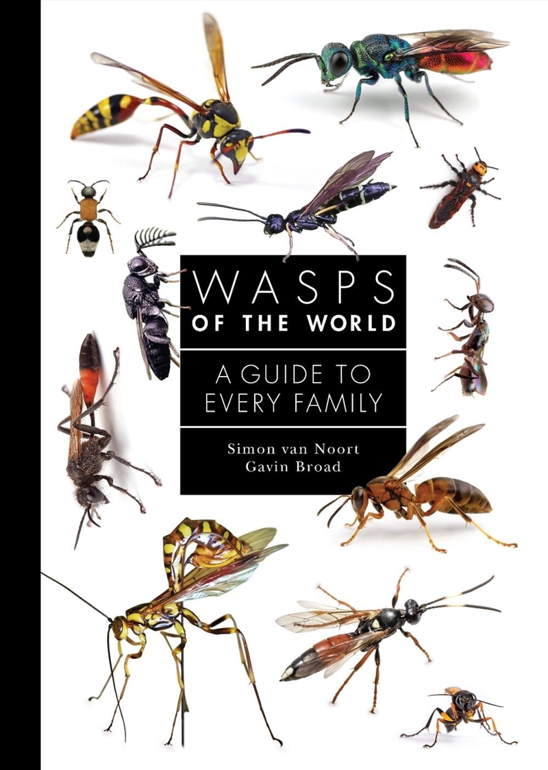 Wasps of the World/Product Detail/Animals & Nature