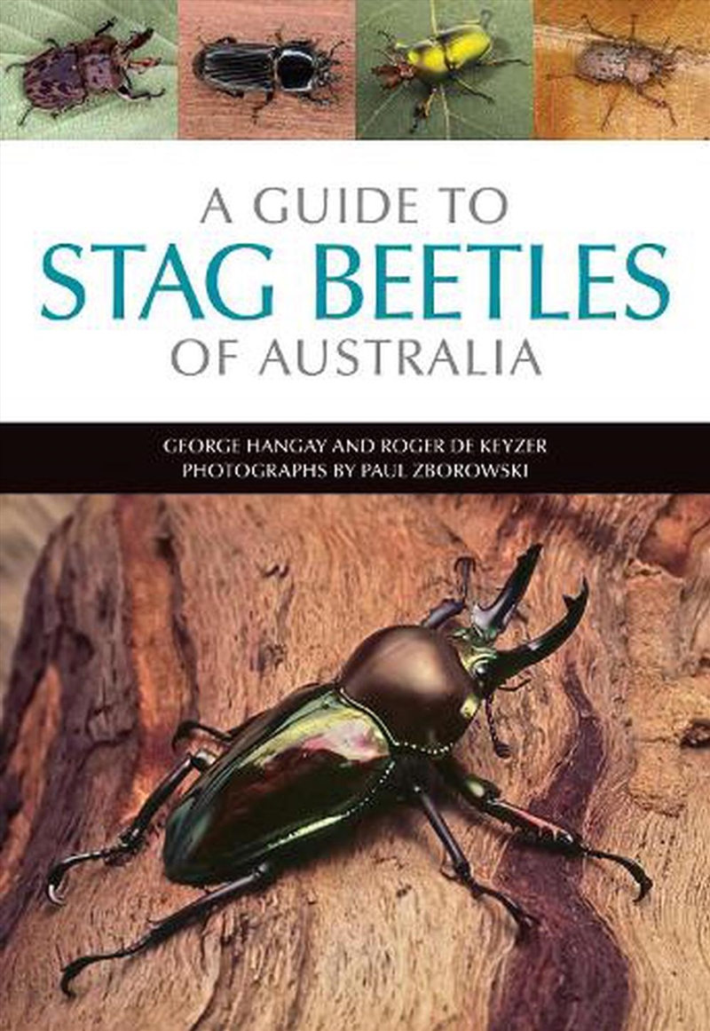 A Guide to Stag Beetles of Australia/Product Detail/Animals & Nature