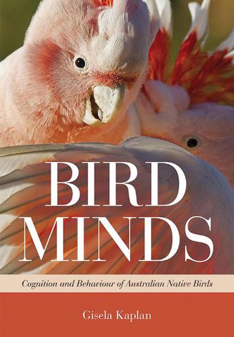 Bird Minds/Product Detail/Animals & Nature
