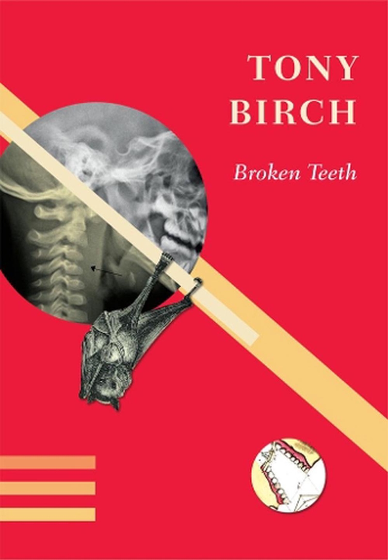 Broken Teeth/Product Detail/Reading