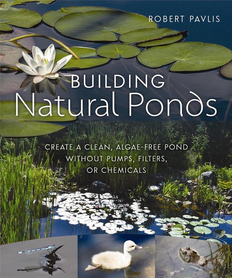 Building Natural Ponds/Product Detail/House and Home Design