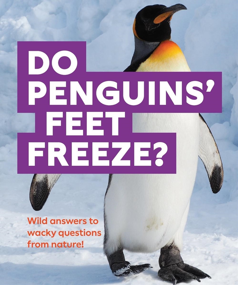 Do Penguins' Feet Freeze?/Product Detail/Childrens