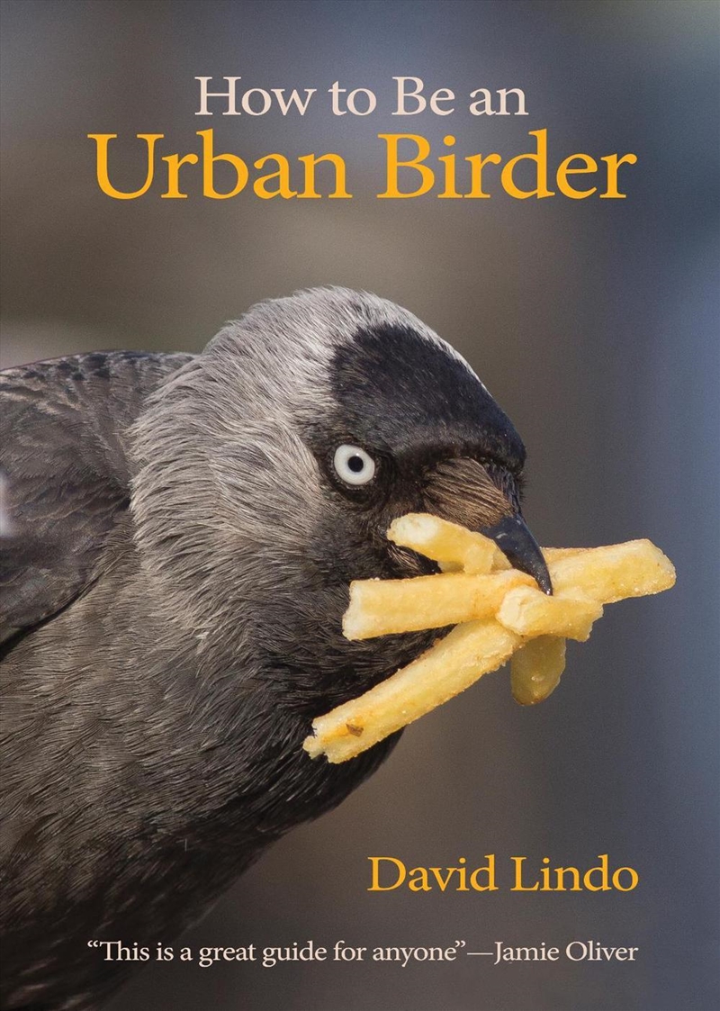 How to Be an Urban Birder/Product Detail/Animals & Nature
