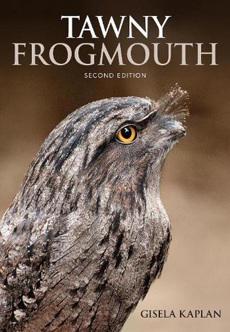 Tawny Frogmouth/Product Detail/Animals & Nature