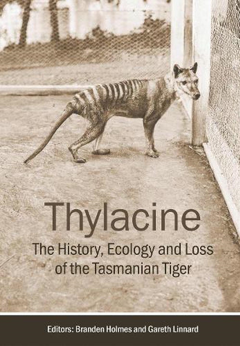 Thylacine/Product Detail/Animals & Nature