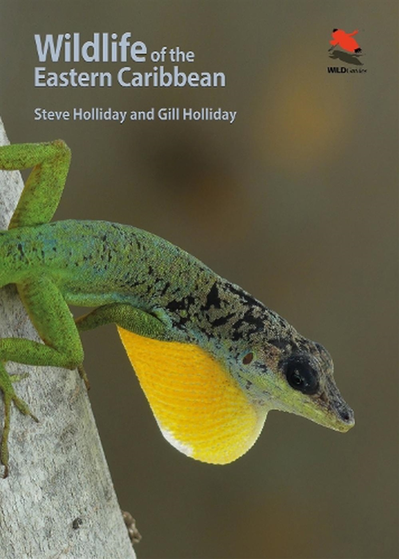 Wildlife Of The Eastern Caribbean/Product Detail/Reference & Encylopaedias