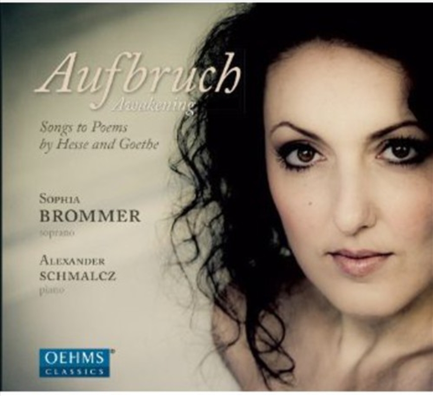 Songs To Poems Of Hesse & Goethe/Product Detail/Classical
