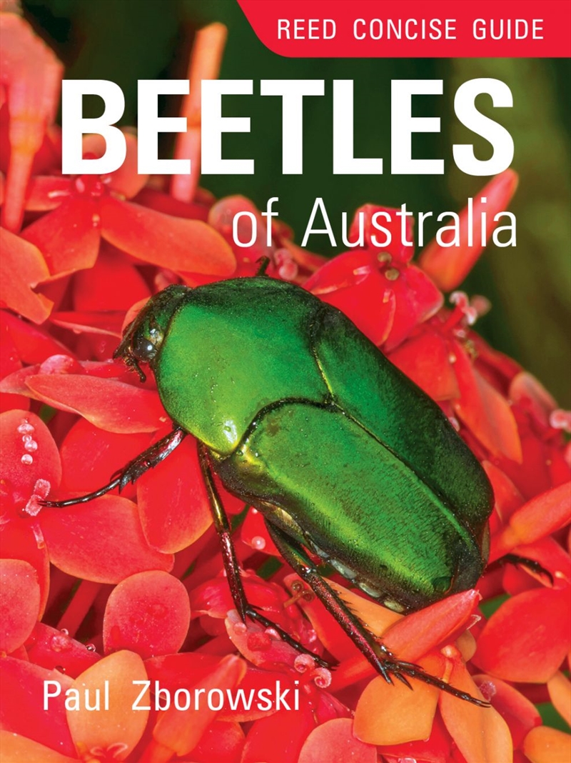 Reed Concise Guide: Beetles of Australia/Product Detail/Animals & Nature