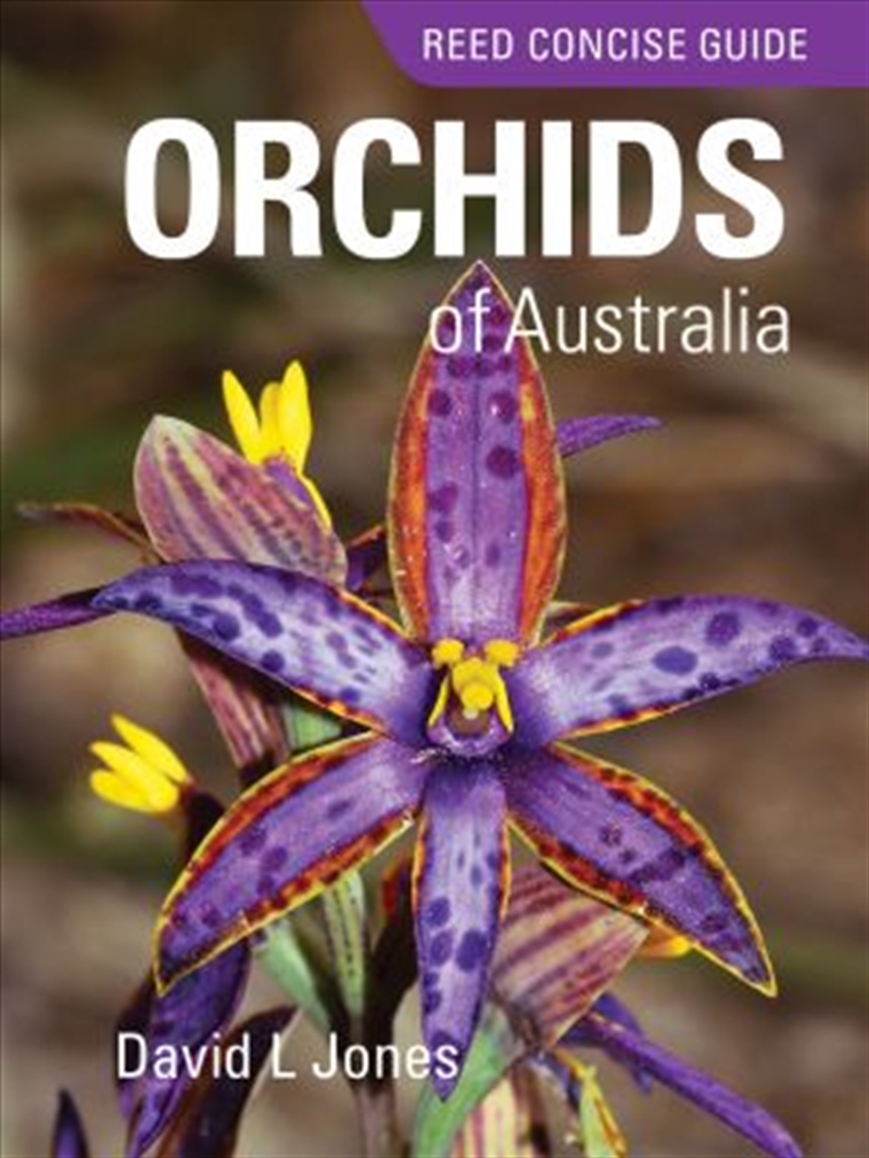 REED CONCISE GUIDE ORCHIDS OF AUSTRALIA/Product Detail/Animals & Nature