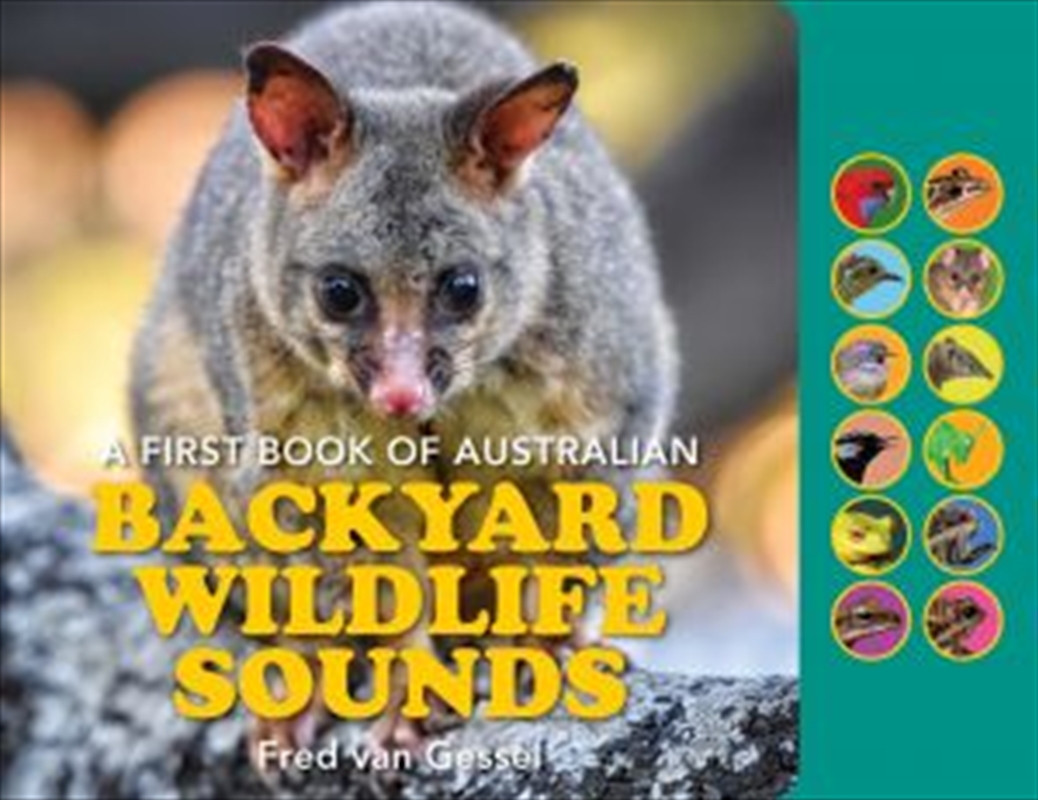 A First Book of Backyard Wildlife Sounds/Product Detail/Early Childhood Fiction Books