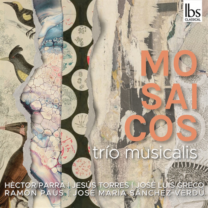 Mosaicos/Product Detail/Classical