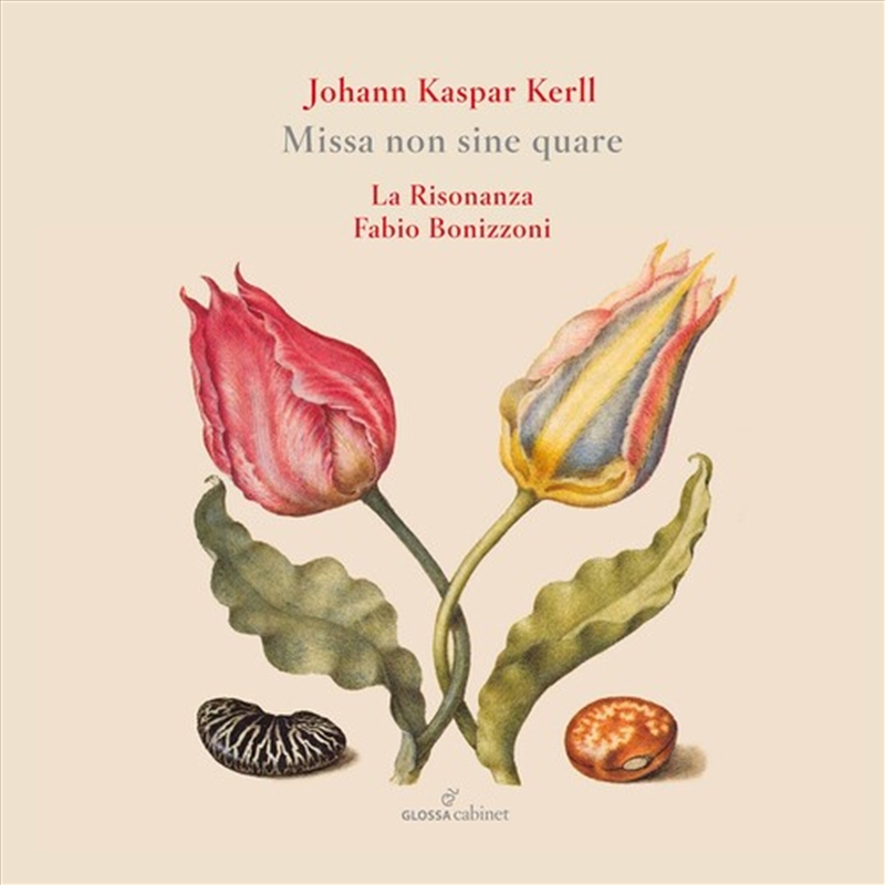 Missa Non Sine Quare/Product Detail/Classical