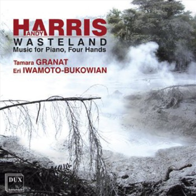 Wasteland: Music For Piano Fou/Product Detail/Classical