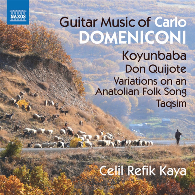 Guitar Music Of Carlo Domenico/Product Detail/Classical